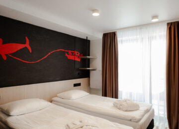 Стандарт двухместный + с видом на горы